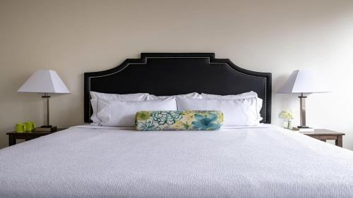 Stylish 2br Apartment Elm Street Cozysuites