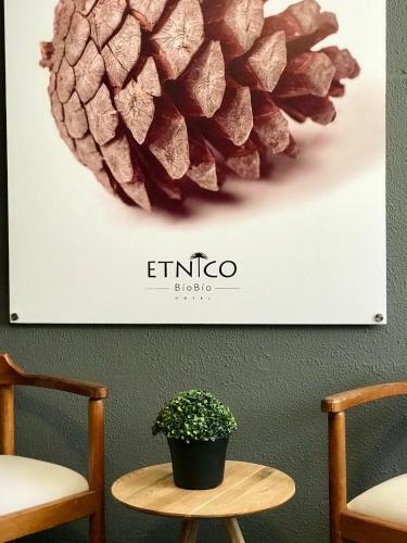 Bed & Breakfast Hotel Oceano Los Angeles