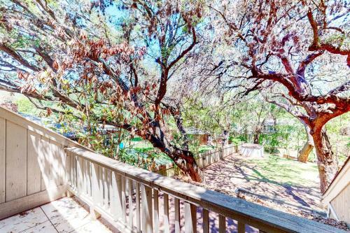 Shady Oaks