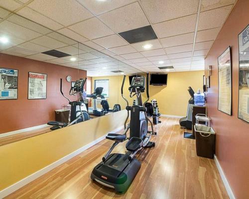 Hotel Shary Inn And Suites