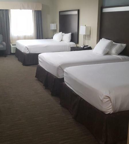 Hotel Horizon Inn & Suites