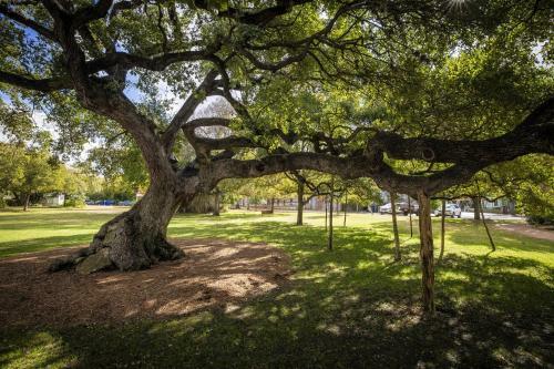 Apartamento Gruene Getaway Condo