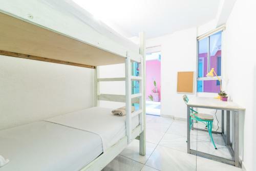 Hostal Flamingo Hostel & Coworking
