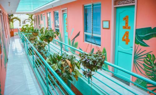 Hostal Flamingo Hostel & Coworking