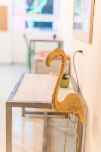 Hostal Flamingo Hostel & Coworking