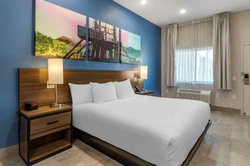 Hotel Clarion Pointe
