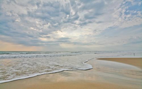 Campeche Cove #1