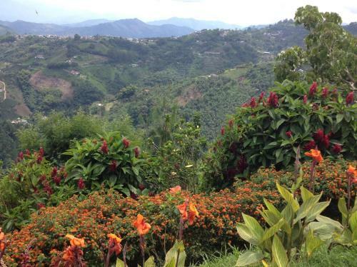Hostal Mirador Finca Morrogacho
