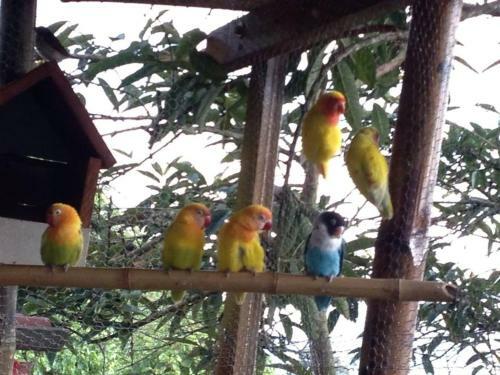 Hostal Mirador Finca Morrogacho