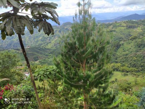 Hostal Mirador Finca Morrogacho