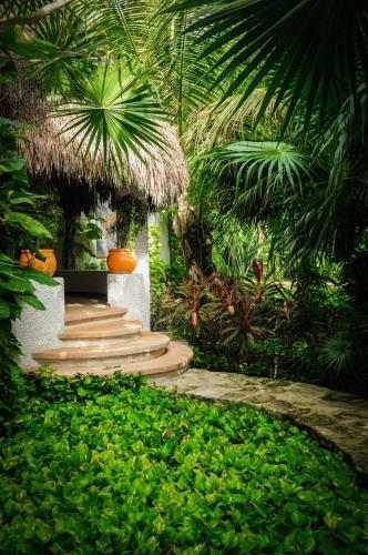 Eco Boutique Hotel Amarte