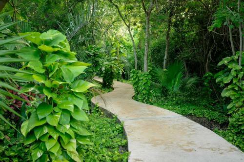 Eco Boutique Hotel Amarte
