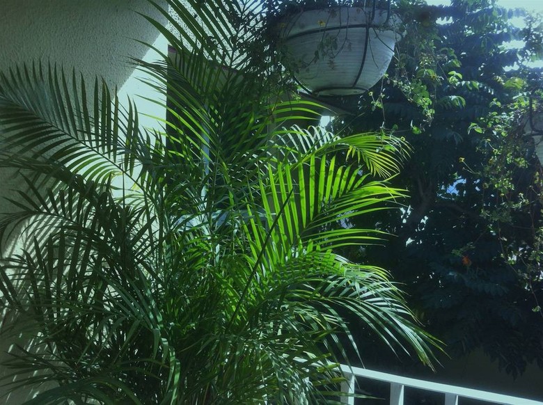 Dickinson Guest House B&B