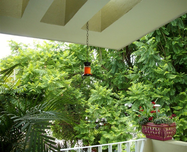 Dickinson Guest House B&B