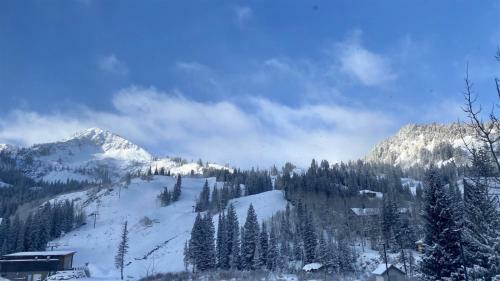 Chalet Du Tournesol
