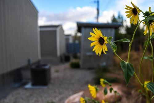 Rsh 5 - Relax While Visiting Moab. Sleeps 10