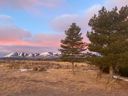 Muddy Paws Ranch - A One Of A Kind Very Pet Friendly Ranch With