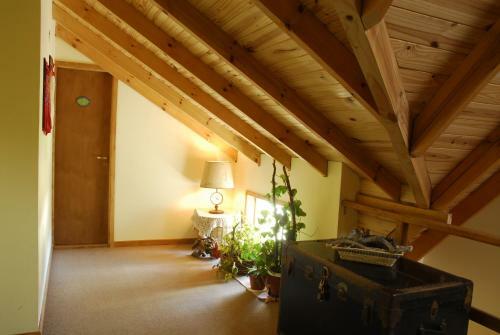 Nothofagus Bed & Breakfast