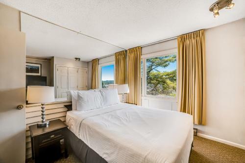 Mountainside Resort III