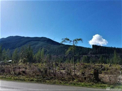Little Cabin On Big Creek Min To Mt Rainier