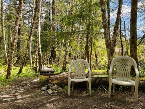 Little Cabin On Big Creek Min To Mt Rainier
