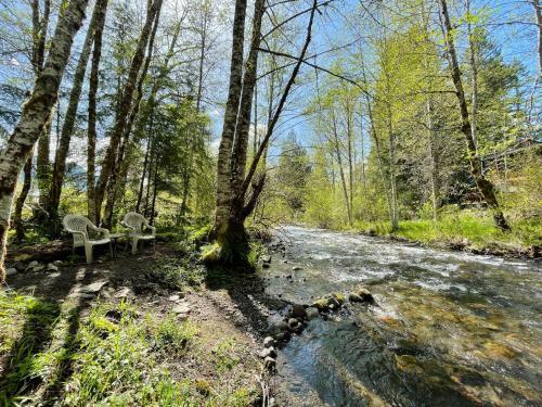 Little Cabin On Big Creek Min To Mt Rainier