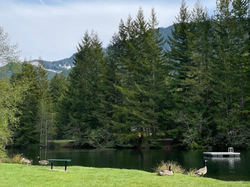 Little Cabin On Big Creek Min To Mt Rainier