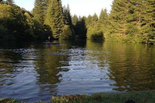 Little Cabin On Big Creek Min To Mt Rainier