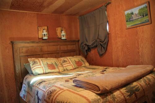 Little Cabin On Big Creek Min To Mt Rainier