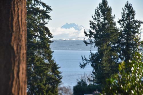 Unique Camano Cabin With Mountain And Water Views