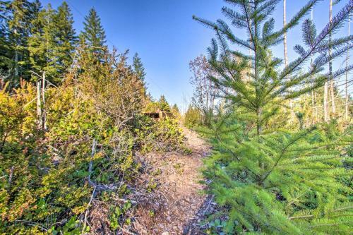 Olympic Forest And Hood Canal Escape On 5 Acres