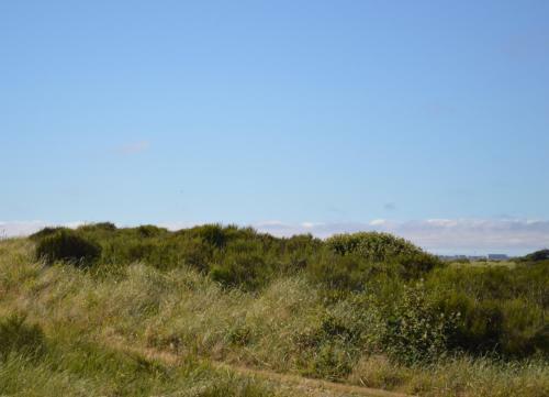 1023 Vacations By The Sea