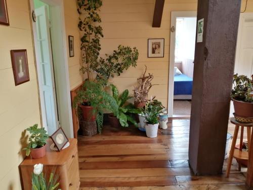 Hostal Hospedaje Von Bischoffshausen