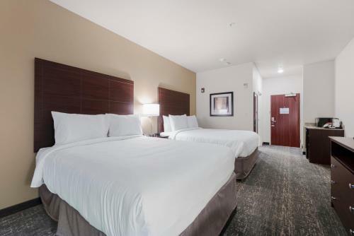Cobblestone Hotel & Suites - Little Chute