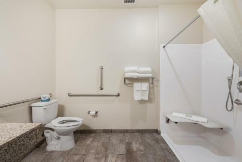 Cobblestone Hotel & Suites - Little Chute