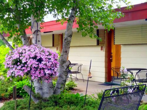 Motel The Usonian Inn Llc