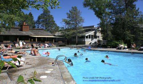 Spruces 8