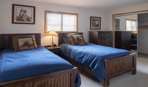 Spruces 8