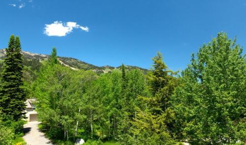 White Ridge A3