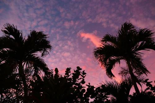 Apartamento Seas The Day 7 - Blissful Beach Abode-singer Island Withpool Duplex