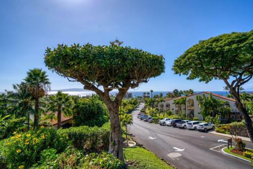 Maui Hill #j-113
