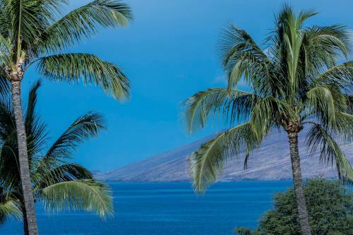 Maui Kamaole #g-107
