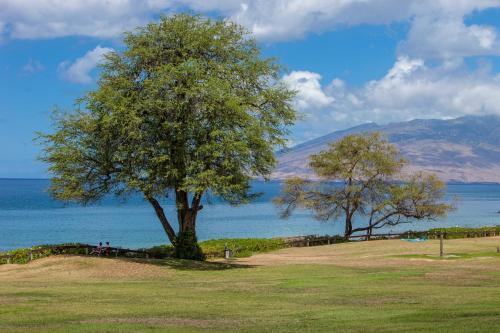 Haleakala Shores #a-411