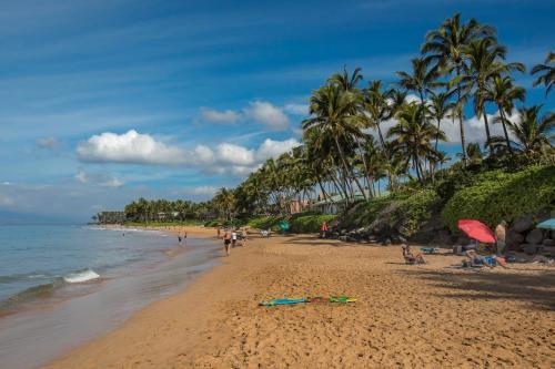 Palms At Wailea #1501