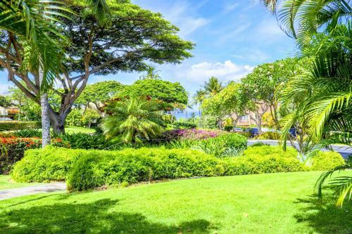 Maui Kamaole #i-109