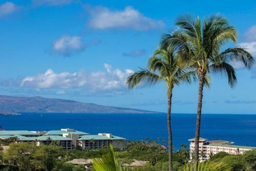 Hotel Wailea Ekolu #914 By Ali'i Resorts