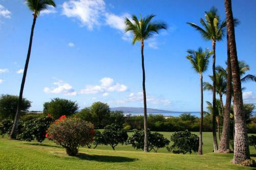 Hotel Wailea Ekolu #914 By Ali'i Resorts