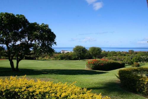Hotel Wailea Ekolu #914 By Ali'i Resorts