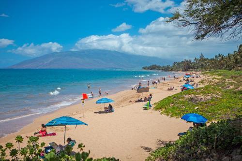 Maui Banyan #h-405