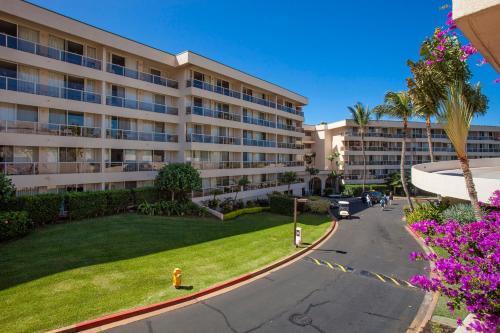 Maui Banyan #h-405
